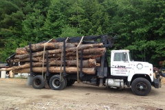 Chris Lane Enterprises | Logging