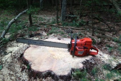 Chris Lane Enterprises | Logging